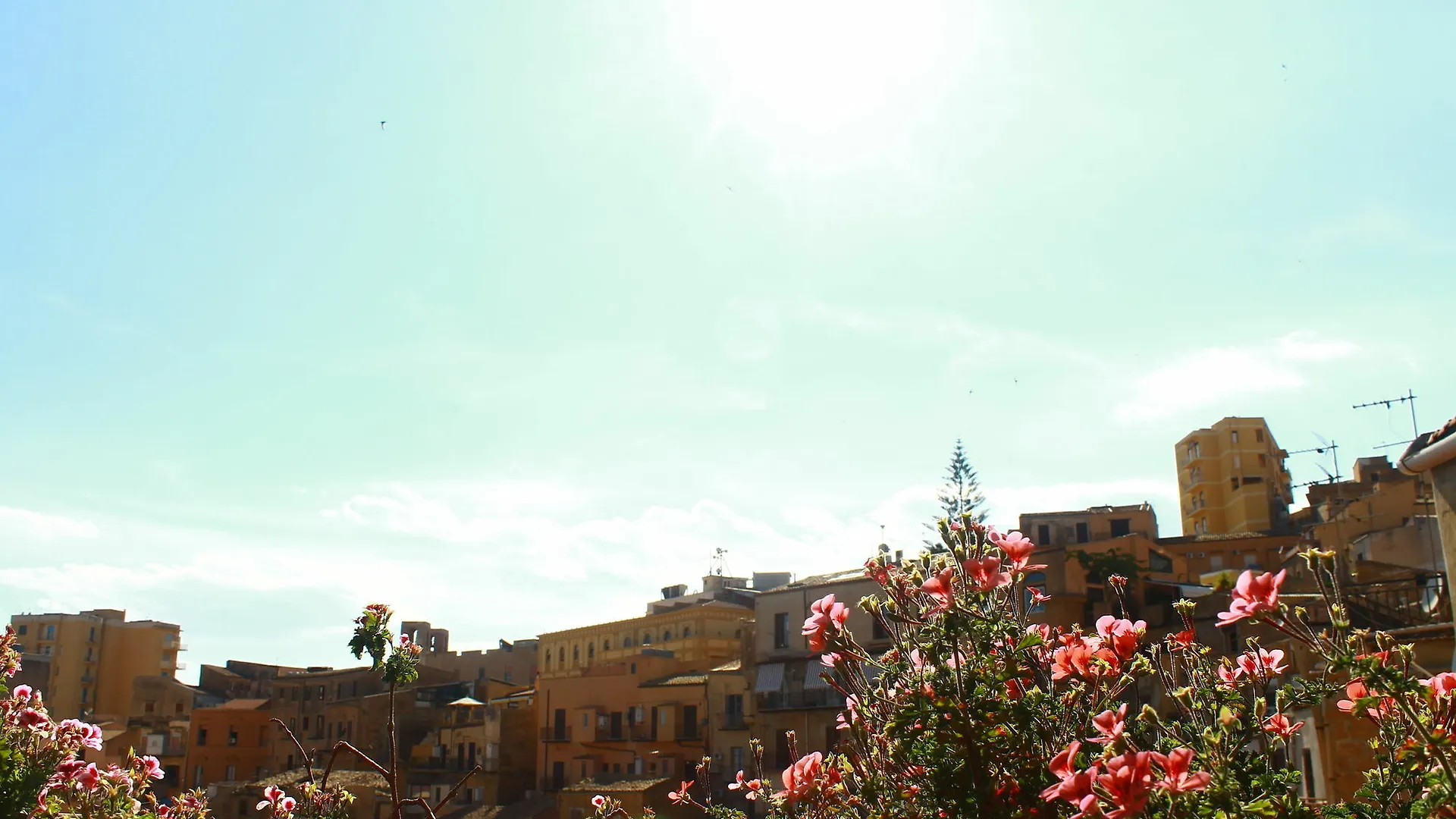 Bed & Breakfast Atenea 191 Agrigento